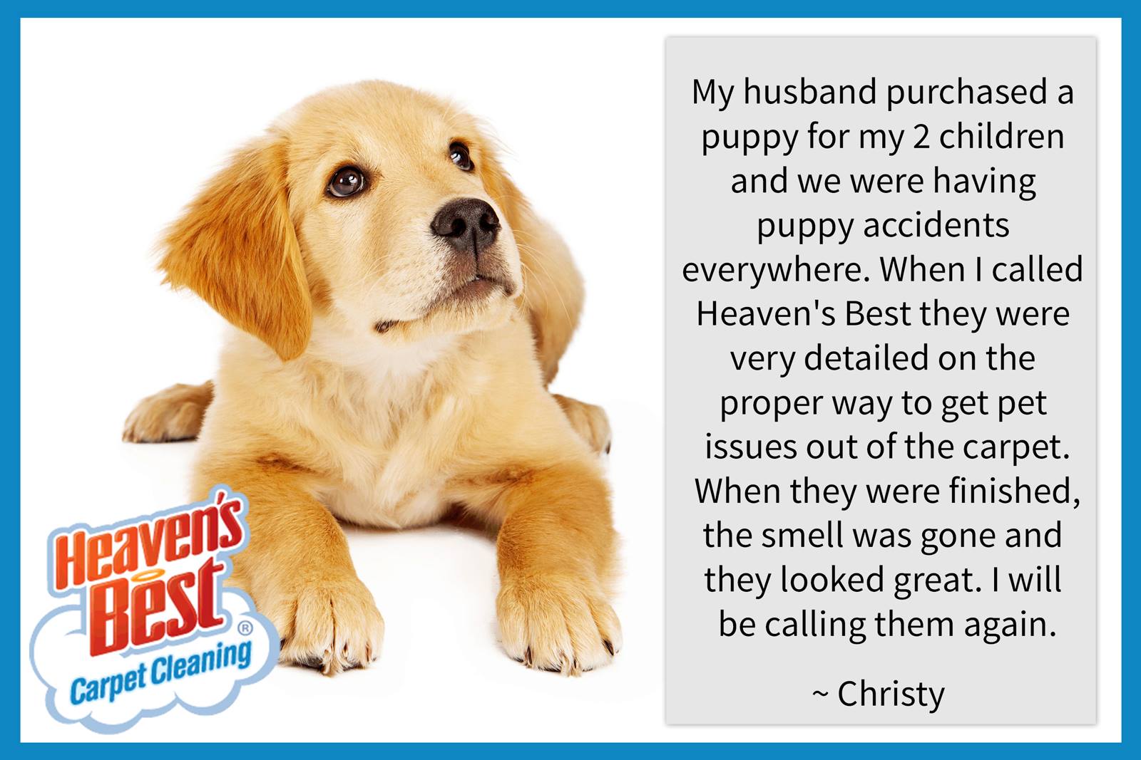 Get rid of deals pet smell
