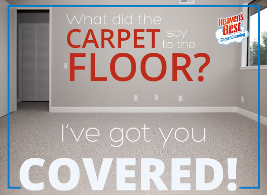 Carpet Cleaning Specials in Birmingham AL