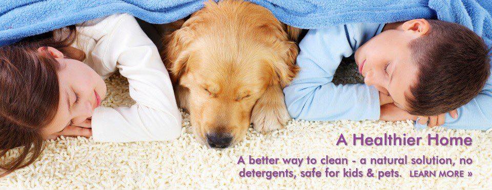 natural carpet cleaning solution - safe for kids & pets
