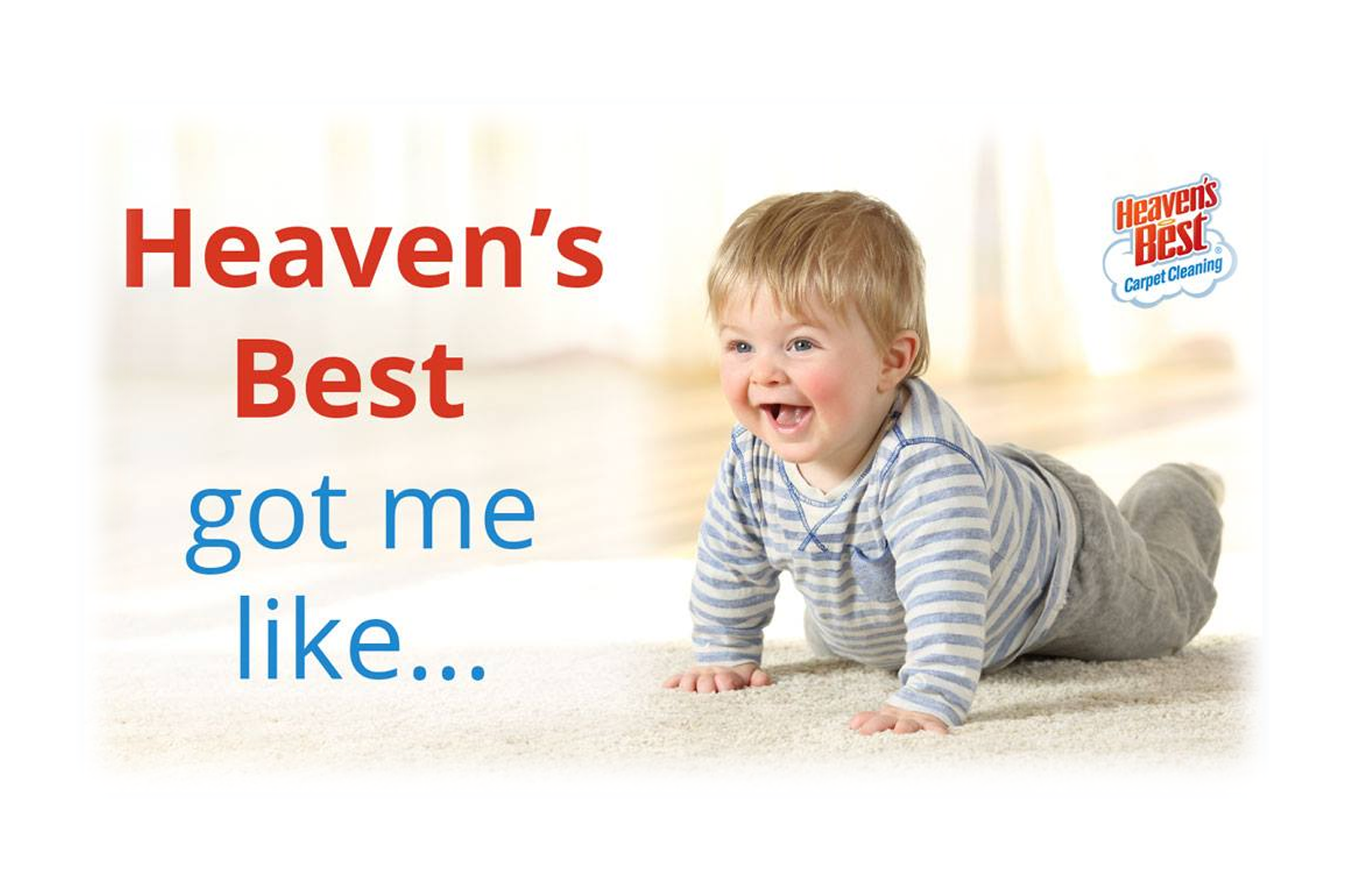 Heavens best carpet cleaning services in Hoover AL